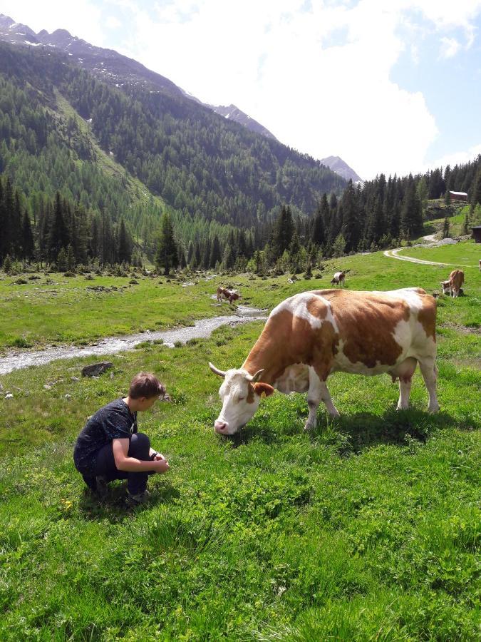 Zirbenchalet Grossglockner Heiligenblut Eksteriør bilde